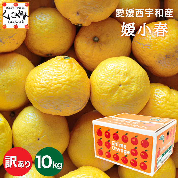 訳あり媛小春10kg