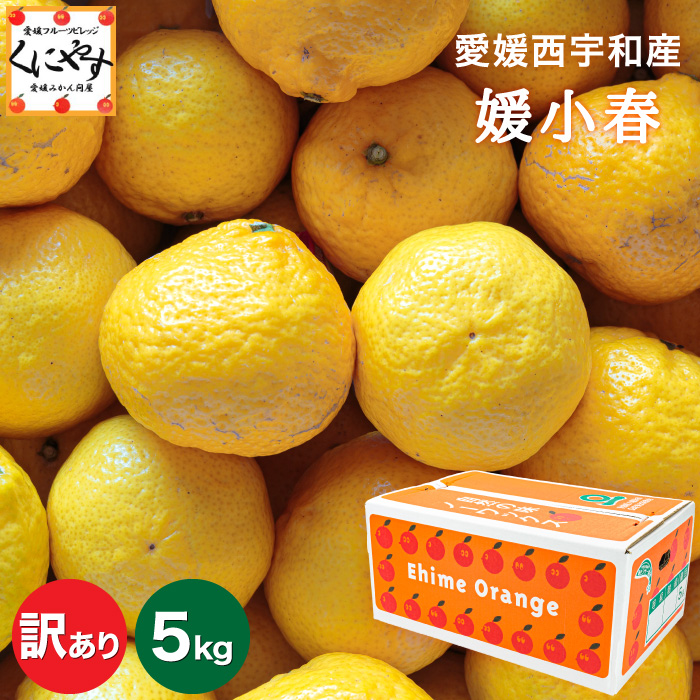 訳あり媛小春5kg