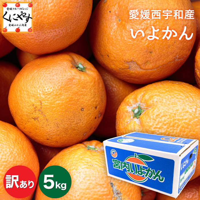 訳ありいよかん5kg