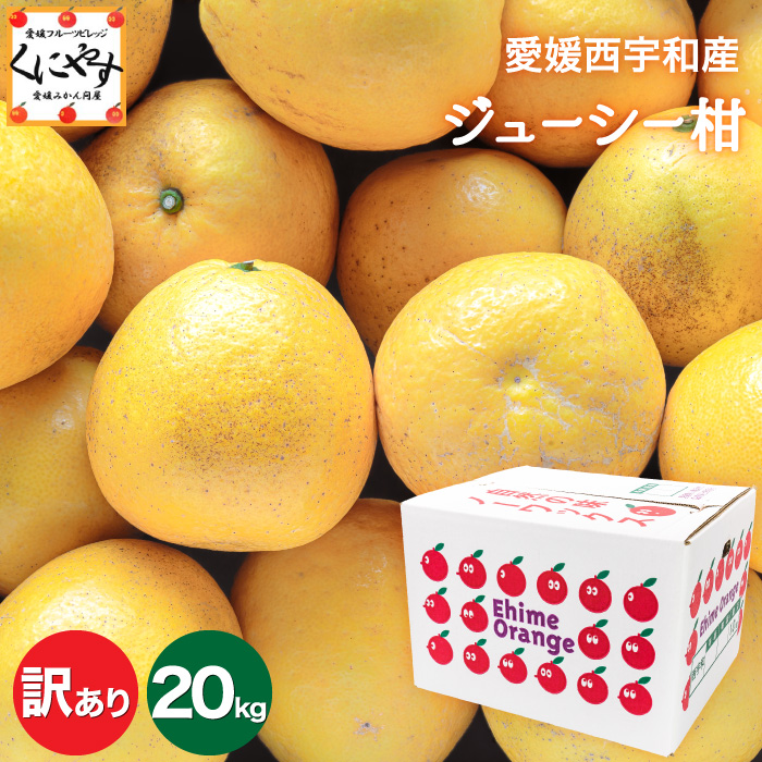 「訳ありジューシー柑20」【送料無料】【産地直送】愛媛西宇和産ジューシー柑 訳あり 20kg (10kg×2箱）河内晩柑 和製グレープフルーツ 宇和ゴールド 美生柑 愛南ゴールド＼創業85年 愛媛みかん の老舗／