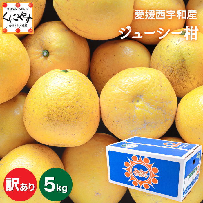「訳ありジューシー柑5」【送料無料】【産地直送】愛媛西宇和産ジューシー柑 訳あり 5kg (別名：河内晩柑 和製グレープフルーツ 宇和ゴールド 美生柑 愛南ゴールド)＼創業85年 愛媛みかん の老舗／