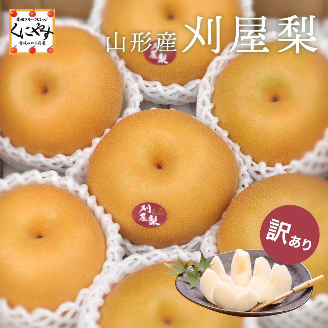 刈屋梨