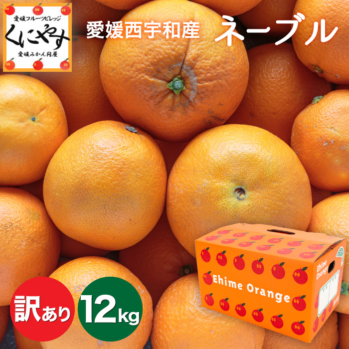 訳ありネーブル12kg