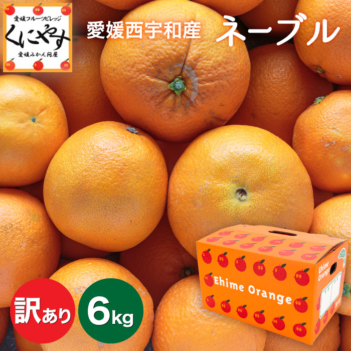 訳ありネーブル6kg