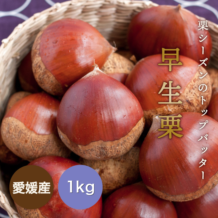 早生栗