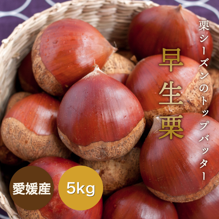 早生栗