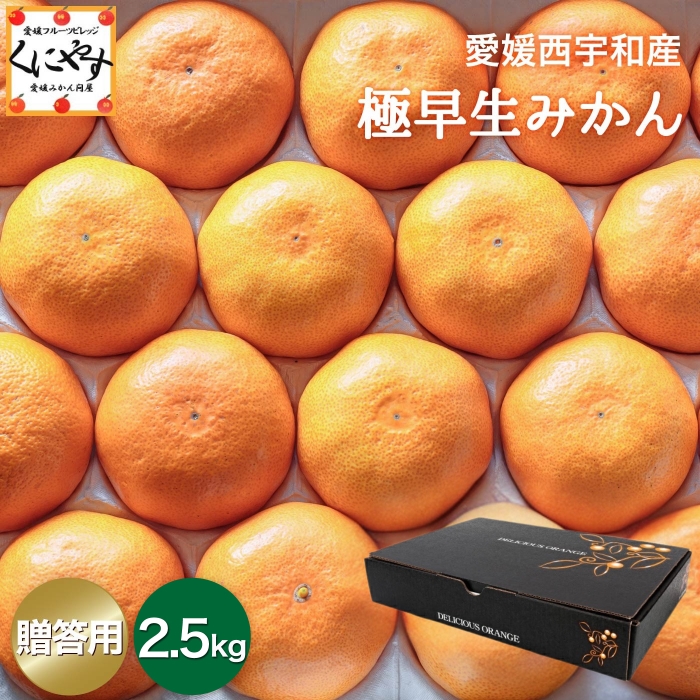 「贈答極早生みかん2.5」【送料無料】【産地直送】【ギフト】贈答用 愛媛西宇和産 極早生みかん 2.5kg