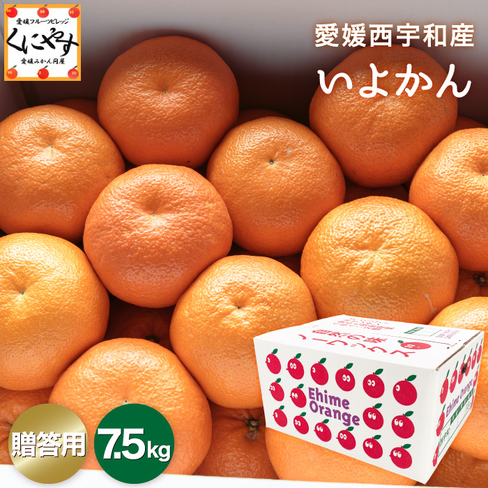贈答いよかん7.5kg