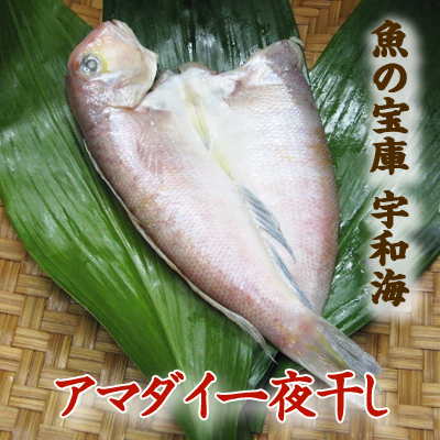 【送料別】【天然魚】宇和海朝獲れ鮮魚の一夜干しアマダイ1枚