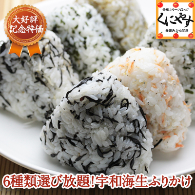 【送料無料】【ゆうパケット】 【6種類から選び放題】【生ふりかけ】 宇和海生ふりかけ40g×4種類！ 「生ふりかけ40×4」
