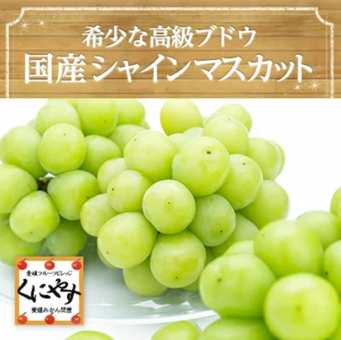 【予約品】8月下旬～９月中旬発送 【送料無料】【クール便代込み】 国産シャインマスカット約2キロ（2～4房） 「国産シャインマスカット2」