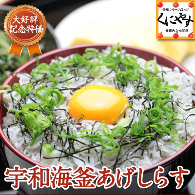 【送料無料】【ギフト】 【厳選選別品】宇和海釜あげしらす500g (250g×2パック） 今なら2セット以上ご注文でもう1セットおまけ 「宇和海釜あげしらす500g」