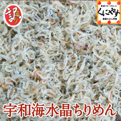 【釜あげしらす同梱専用商品】「訳あり無選別品宇和海水晶ちりめん50g」 地元でしか味わえない本当の味をご家庭へ 15パック以上ご注文で送料無料！