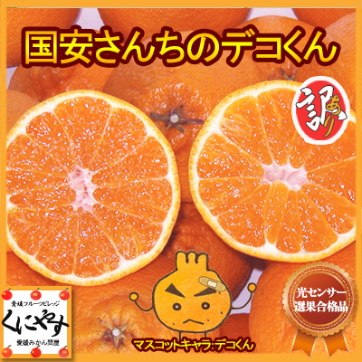 【本店限定】 愛媛西宇和産国安さんちの訳ありデコくん 6キロ（3kg×2箱） 「訳ありデコくん3×2」【光センサー合格品】