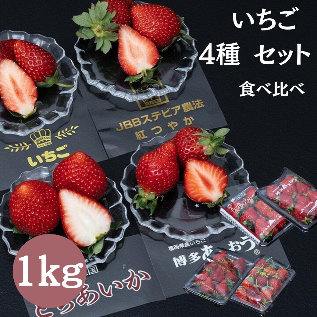 おまかせ4種食べ比べ