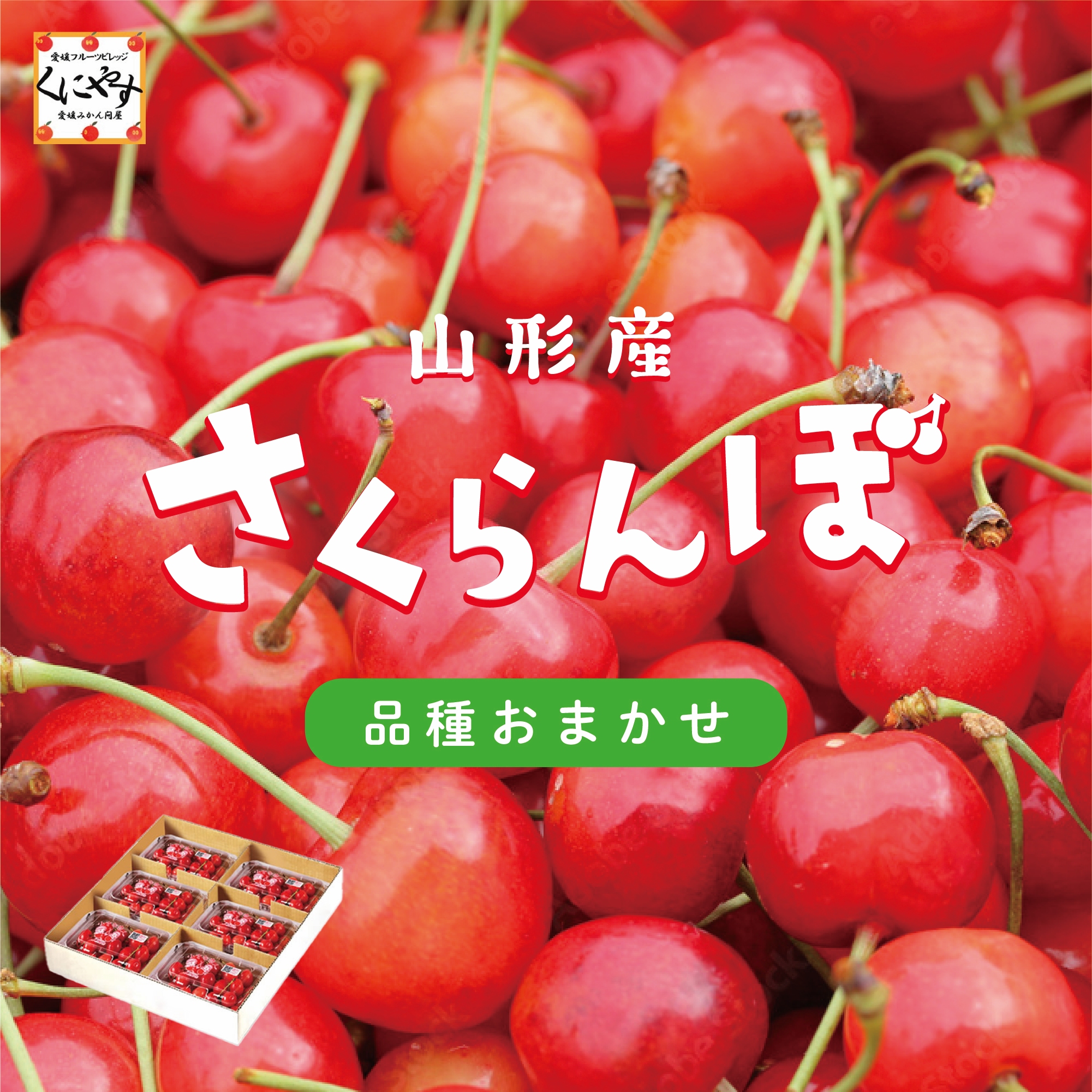 山形の旬のさくらんぼを品種おまかせで産地直送！