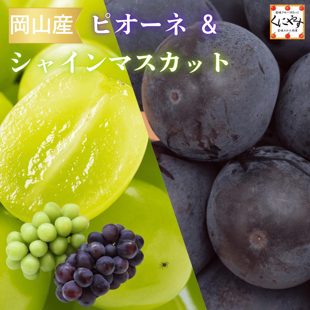 岡山産ピオーネ・シャイン