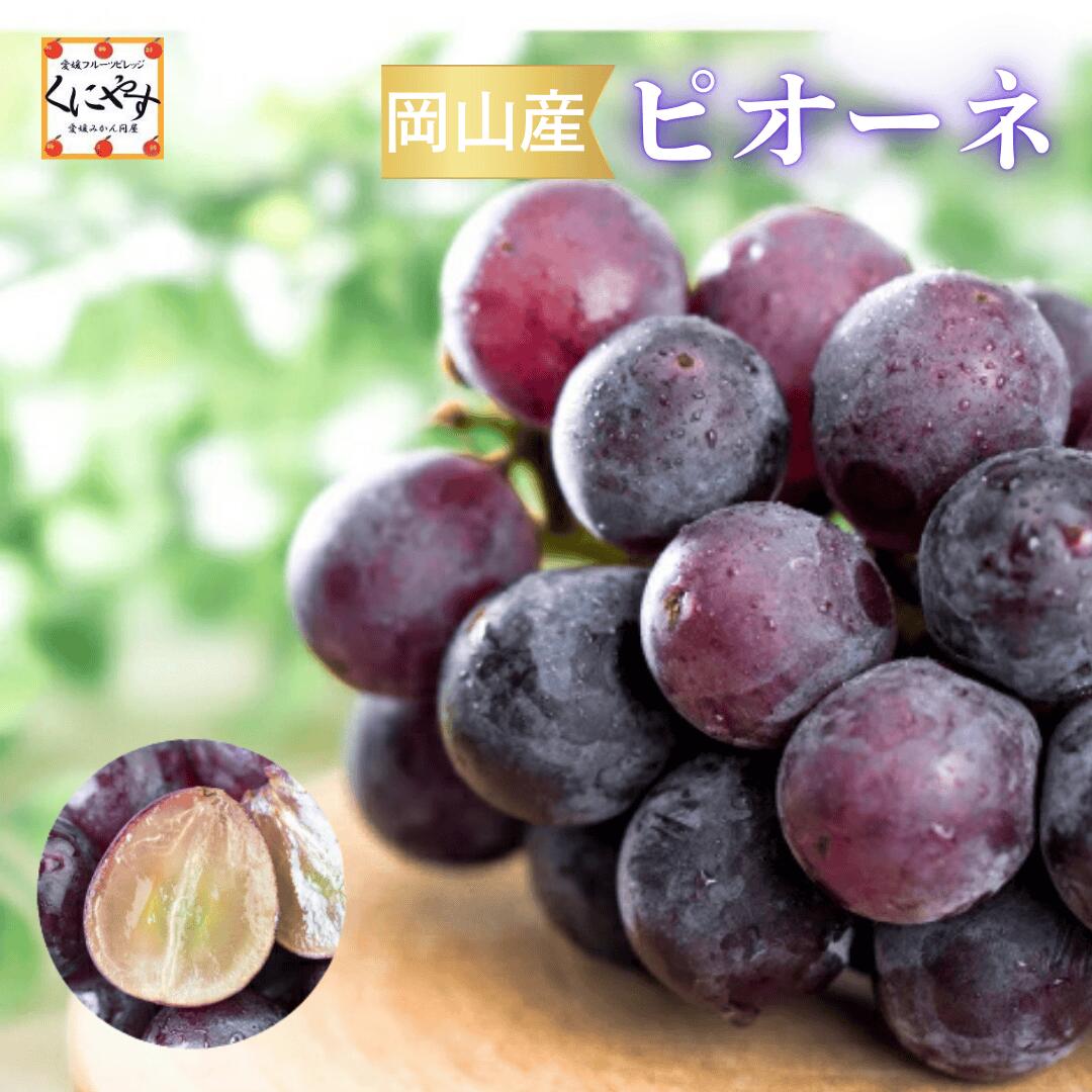 岡山産ピオーネ