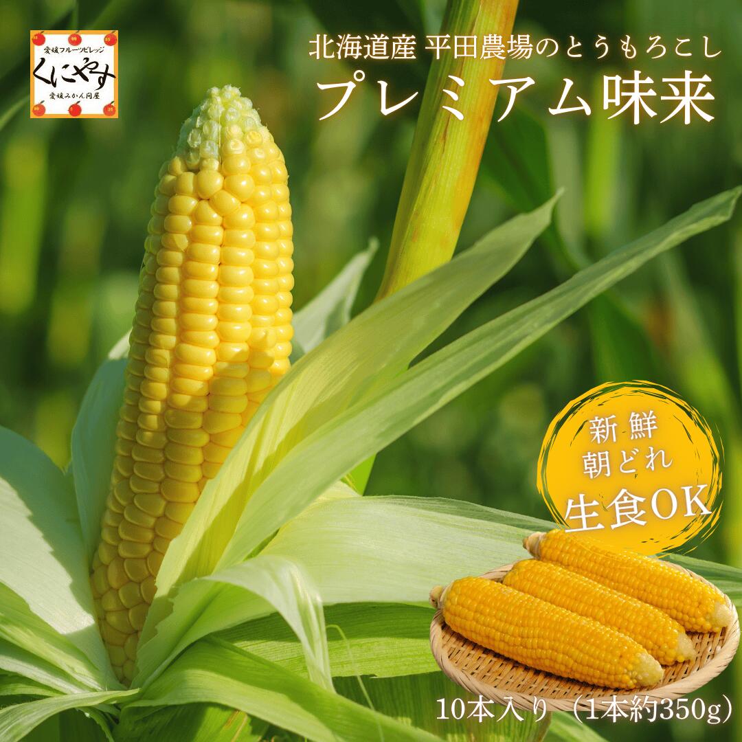 平田農場のとうもろこし