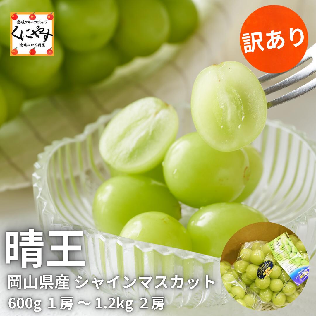 リピーター様限定岡山産シャインマスカット訳あり粒のみ1キロ 晴王』と呼ばれる岡山産のシャインマスカットから訳あり品が新登場！