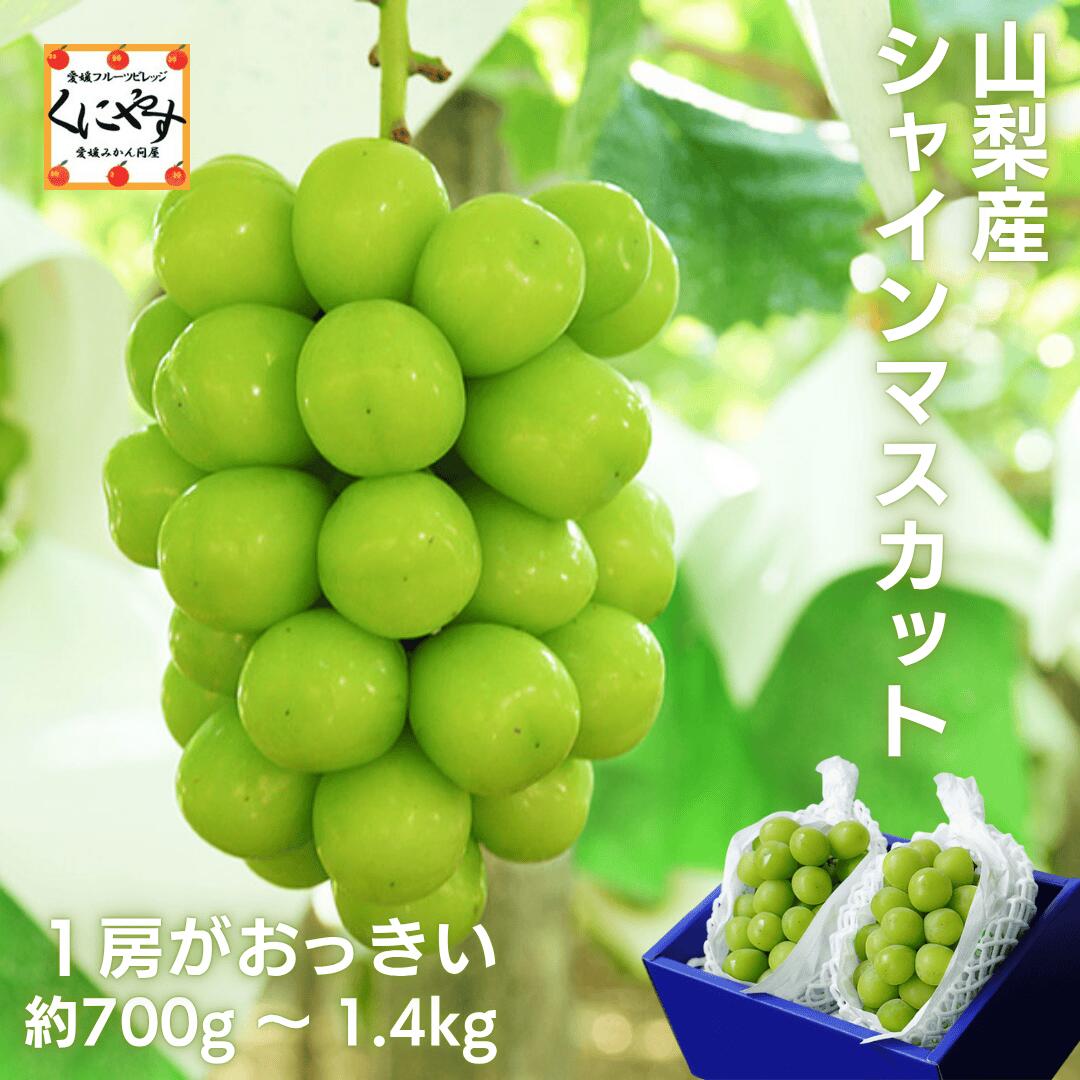ぶどうの生産量日本一の山梨県産！大房のシャインマスカットが新登場