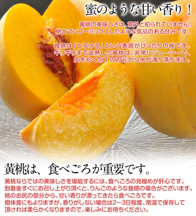 人気の福島産・伊達の桃から黄桃（マンゴーピーチ）が新登場！