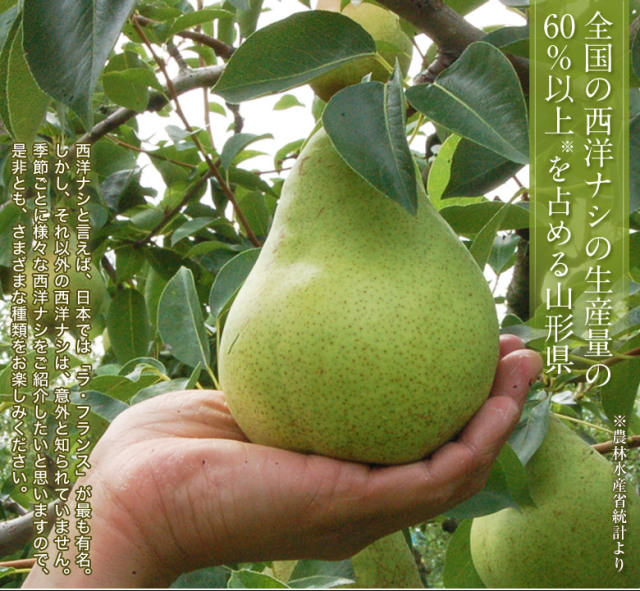 マルゲリット