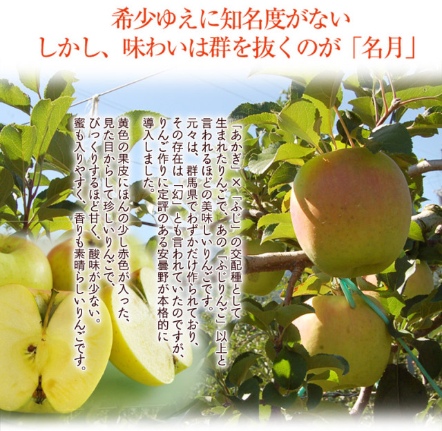 名月りんご