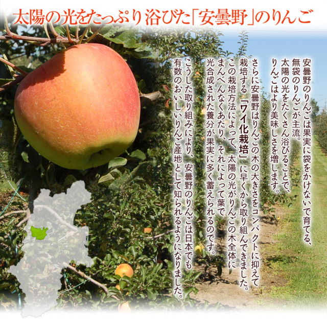 名月りんご