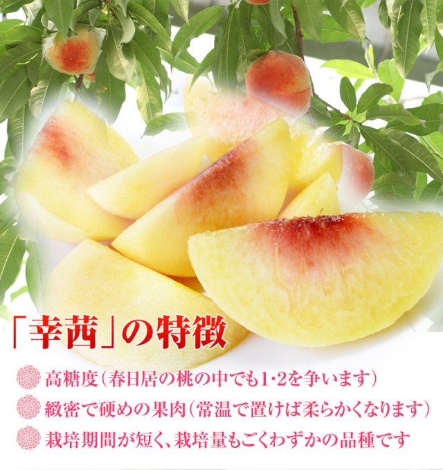 桃の一大産地、山梨県から春日居の桃の販売開始！高糖度の幸茜を
