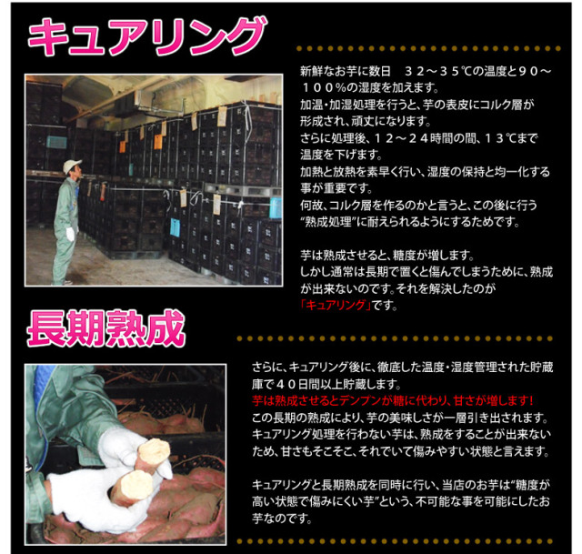 訳あり安納紅芋