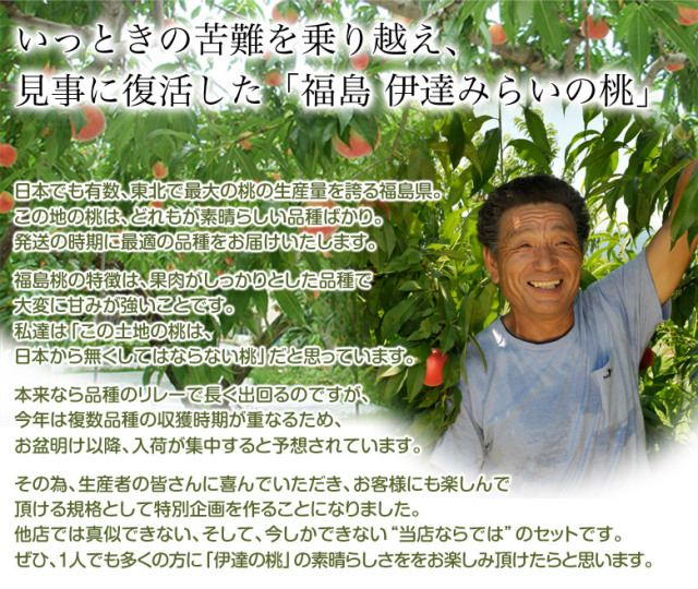 黄桃白桃セット