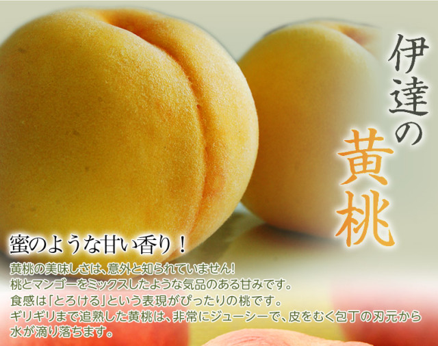 人気の福島産・伊達の桃から黄桃（マンゴーピーチ）が新登場！