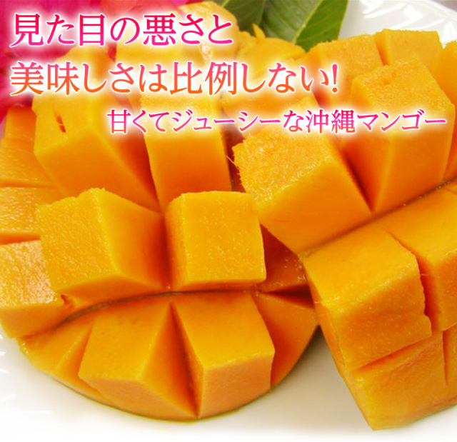 ☆期間限定！新発売☆太陽の恵み☆＼芳醇な香りと濃厚な甘み／【送料