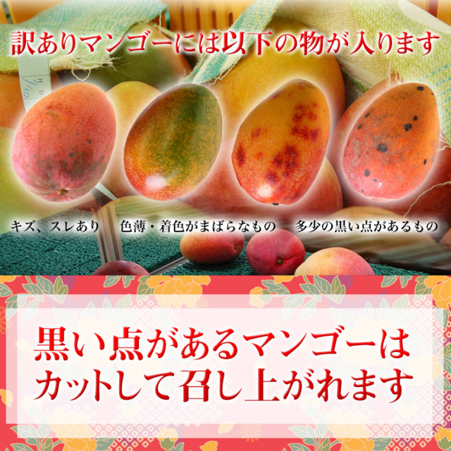 ☆期間限定！新発売☆太陽の恵み☆＼芳醇な香りと濃厚な甘み／【送料