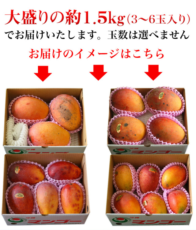【関東迄価格】完熟マンゴー家庭用約５キロ/沖永良部島産/太陽の恵み 関東迄価格】完熟マンゴー家庭用約5キロ/沖永良部島産/太陽の恵み