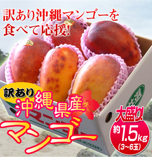☆期間限定！新発売☆太陽の恵み☆＼芳醇な香りと濃厚な甘み／【送料