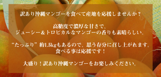 ☆期間限定！新発売☆太陽の恵み☆＼芳醇な香りと濃厚な甘み／【送料