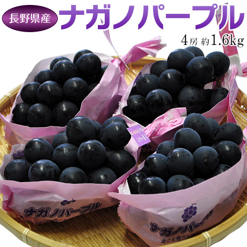 ナガノパープル