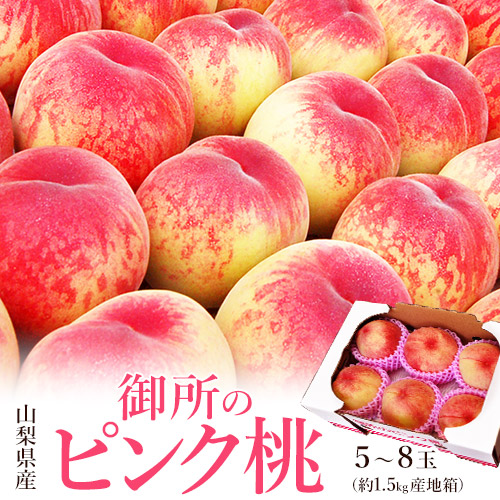 ＼新発売／【送料無料】【ご自宅用】【産地直送】 山梨産 御所の 桃 ピンク桃 約1.5kg 5～8玉入「御所の桃 1.5kg」白桃 もも