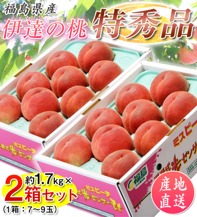 【送料無料】【産地直送】福島産 伊達の 桃 特秀品 約3.4kg 14～18玉入り (約1.7kg×2箱)「福島産もも3.4kg」JAふくしま未来 もも