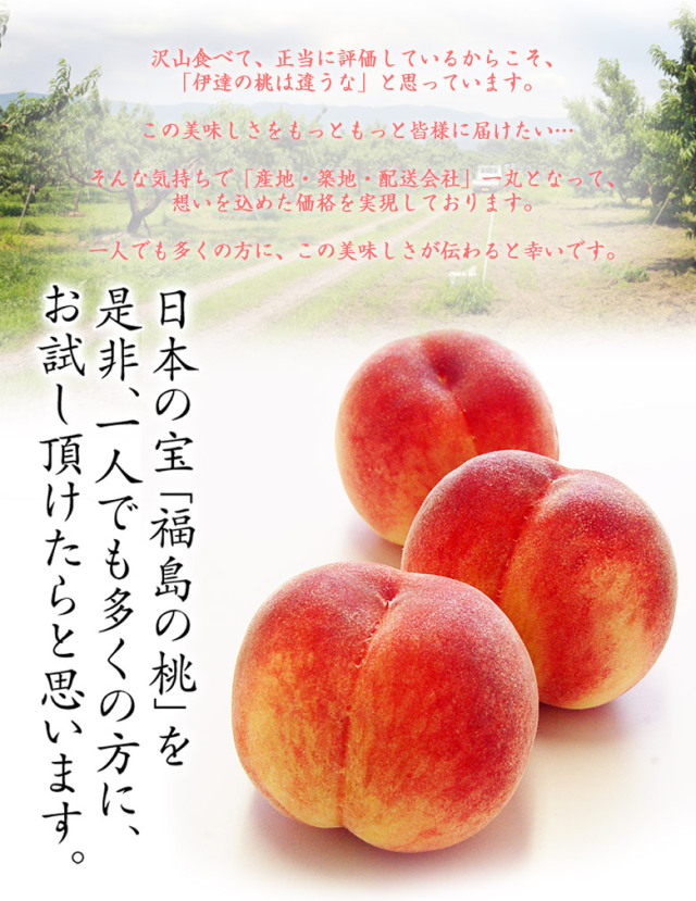 大人気の福島県産・伊達の桃から黄桃と白桃のお得なセット商品が