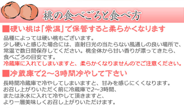 送料無料】【産地直送】福島産 伊達の 桃 特秀品 約3.4kg 14&
