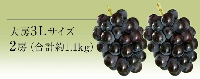 藤稔