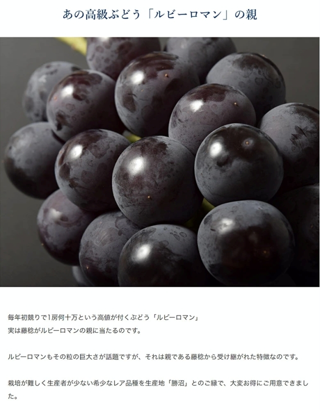 藤稔