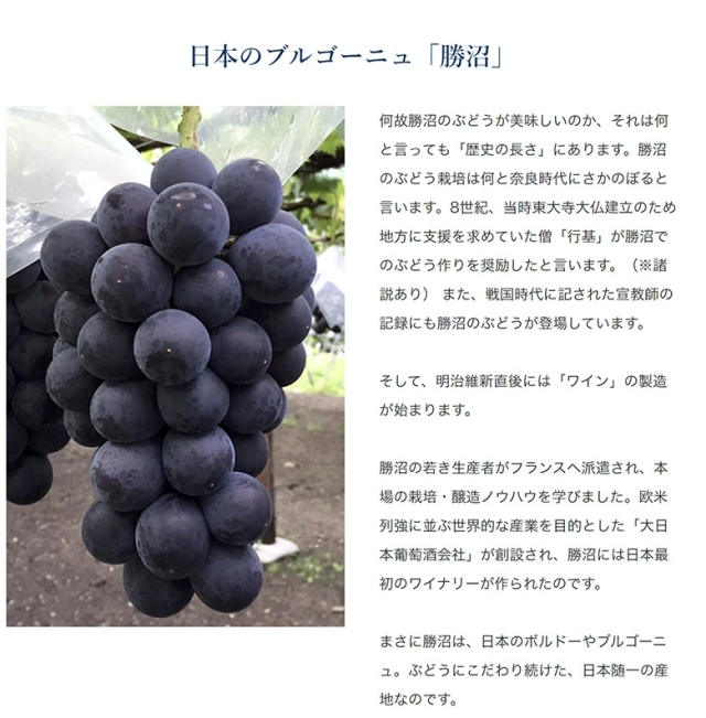 藤稔