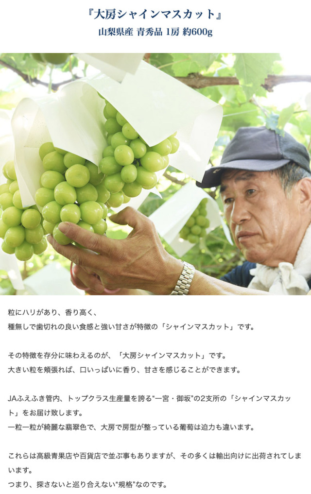 旬の果物3種セット