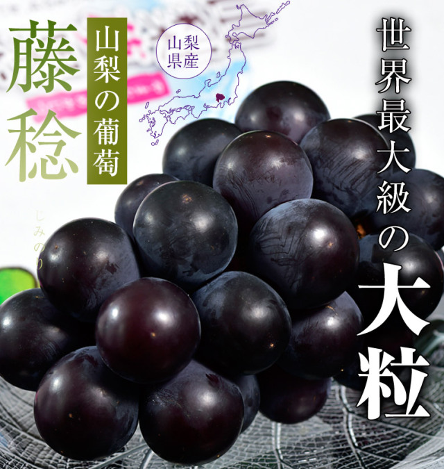 藤稔
