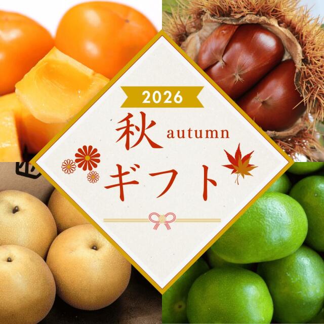 愛媛県西宇和産極早生みかん 贈答用6.5kg