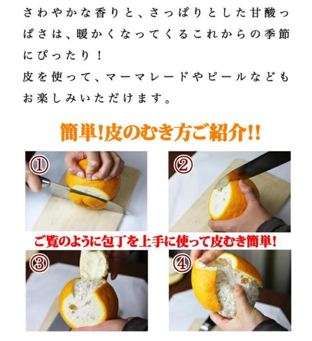 初夏の柑橘の代表格！すっきりとした甘さの甘夏を愛媛西宇和地方から